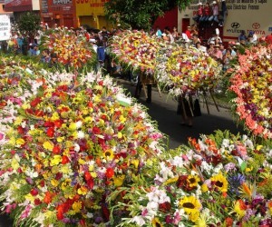 Feria de las Flores Medellin Fuente  aeromedellin com